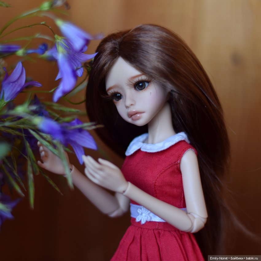 Полевые цветы для Софочки (фото 5)