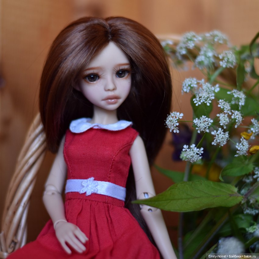 Полевые цветы для Софочки (фото 2)