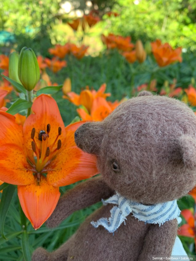 Мне нравится июньское меню (фото 4)