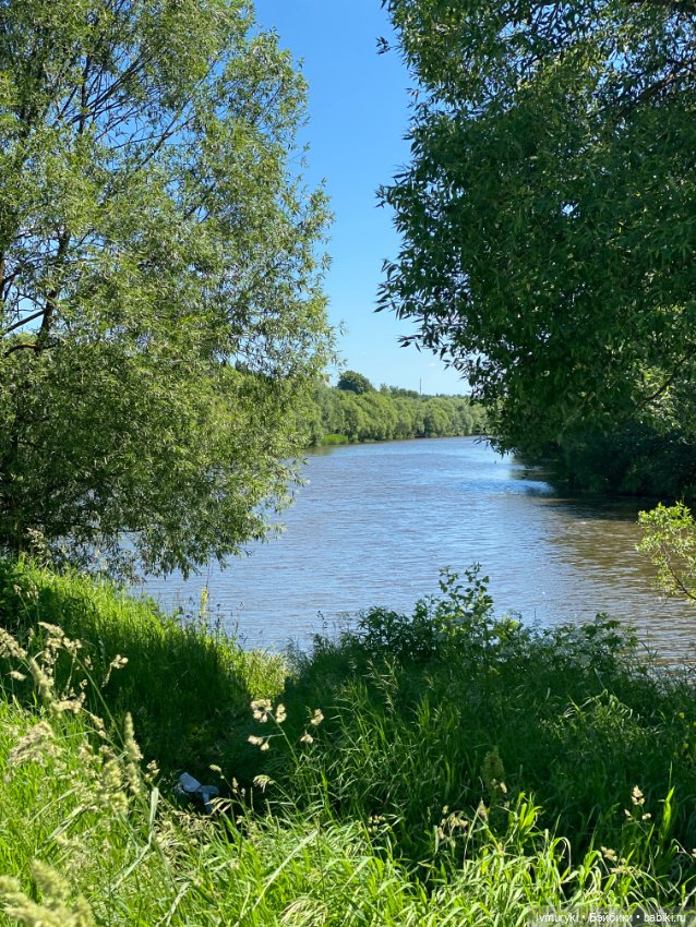 Прекрасная Дарла — Куклы Ruby Red (Руби Ред) Fashion Friends: Siblies