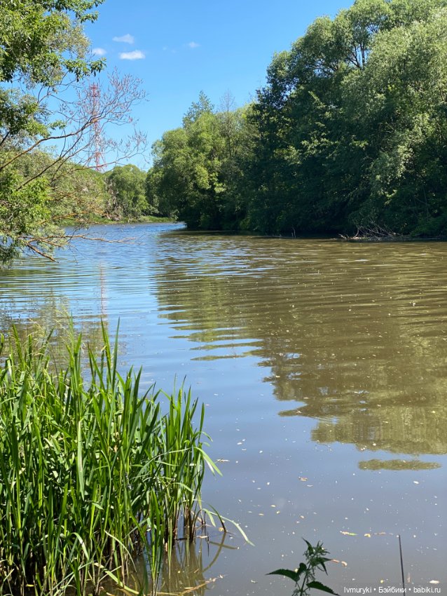 Прекрасная Дарла — Куклы Ruby Red (Руби Ред) Fashion Friends: Siblies