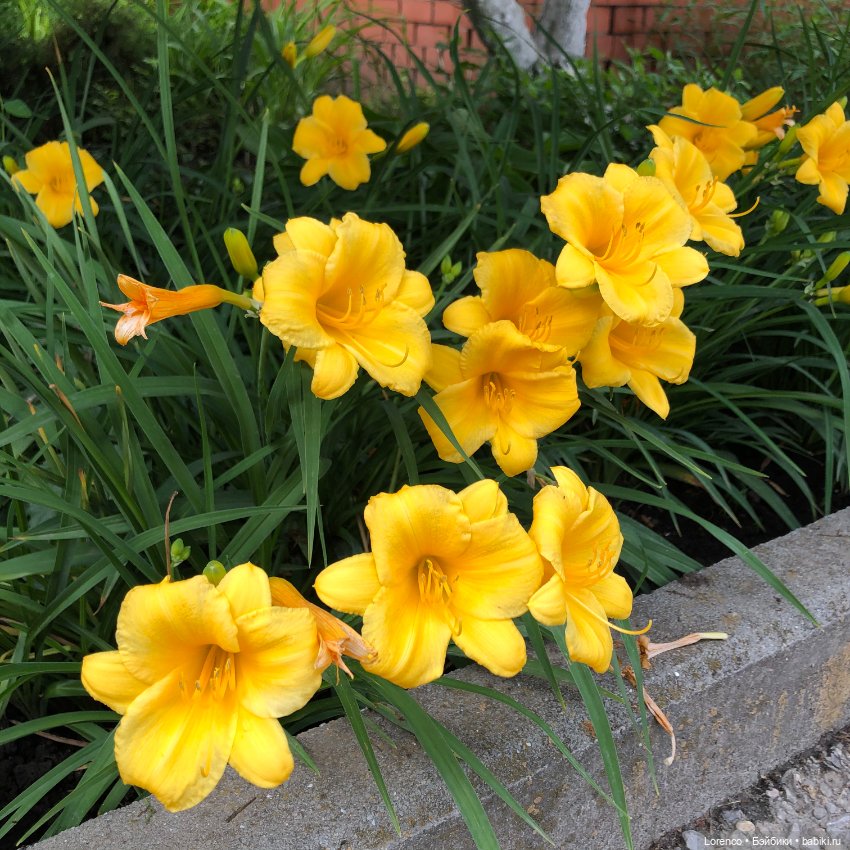 Летний спам — Болталка и разговоры обо всем: жизнь (фото 7)