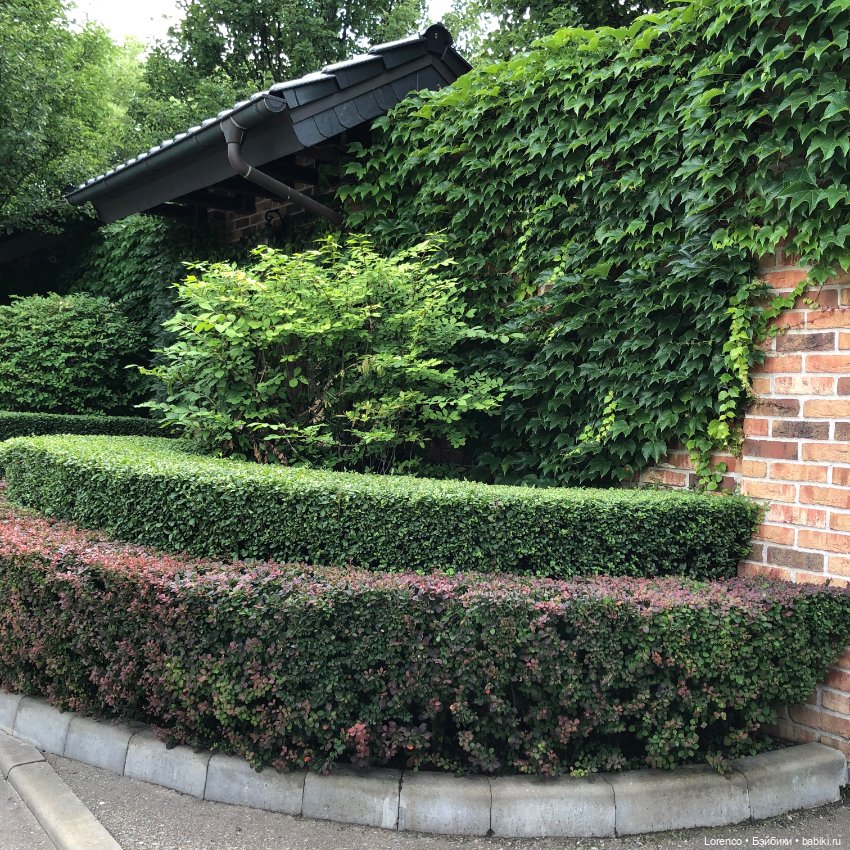 Летний спам — Болталка и разговоры обо всем: жизнь