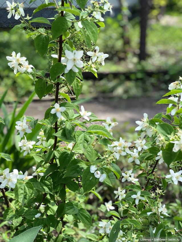 Летний спам — Болталка и разговоры обо всем: жизнь