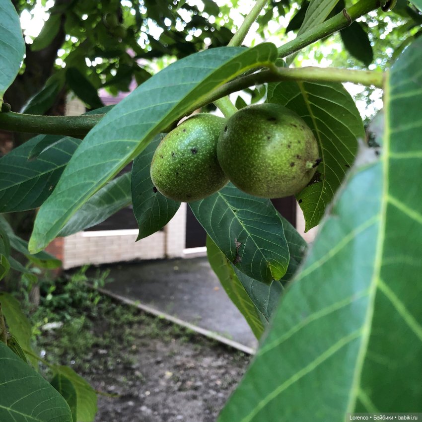 Летний спам — Болталка и разговоры обо всем: жизнь (фото 6)