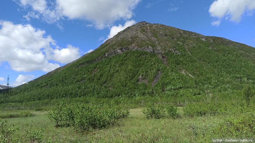 Выловили солнечный денёк 19.06.2021. Заполярье. Прогулка. Часть 1 (фото 7)