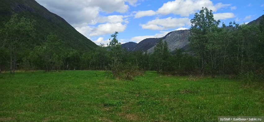 Выловили солнечный денёк 19.06.2021. Заполярье. Прогулка. Часть 3