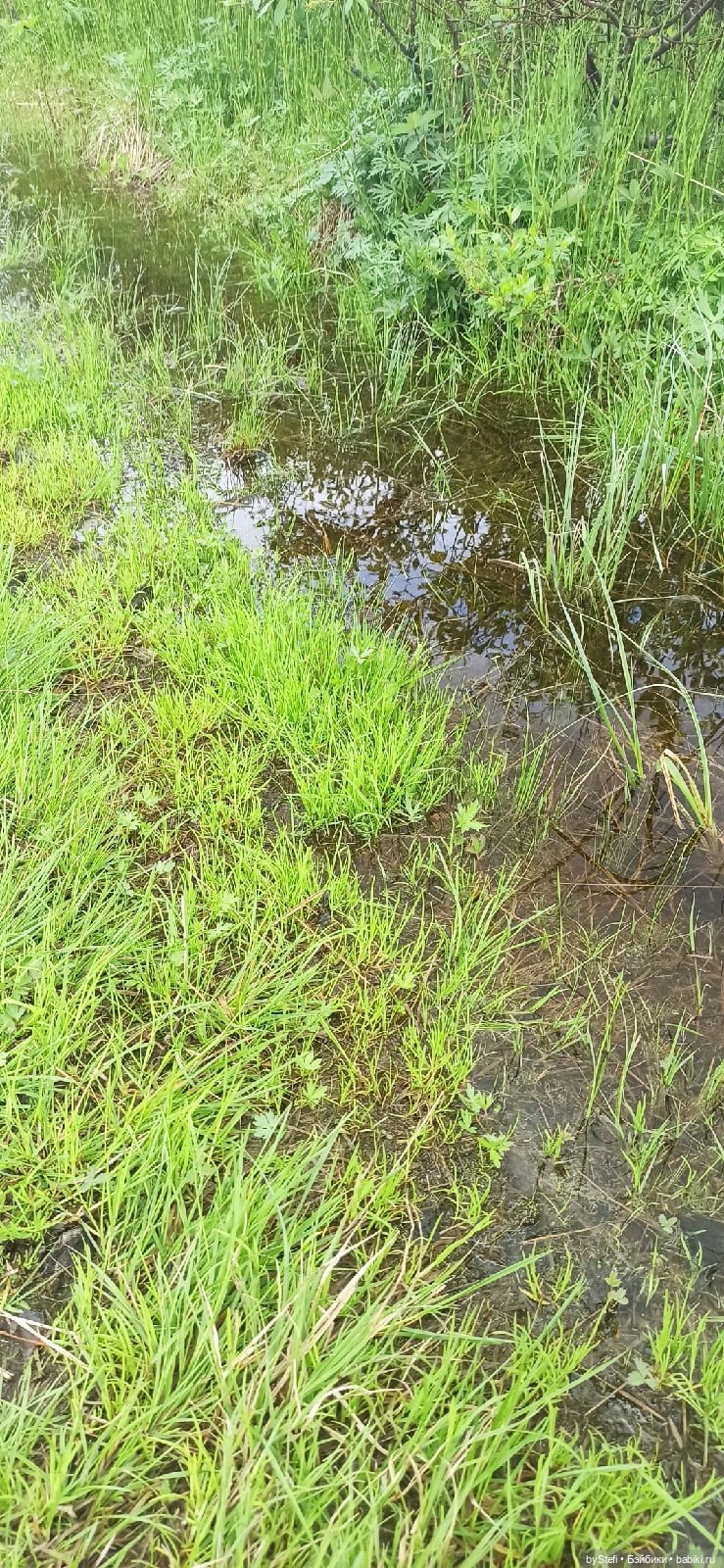 Выловили солнечный денёк)) 19.06.2021. Заполярье. Прогулка. Часть 4
