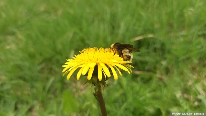 Выловили солнечный денёк 19.06.2021. Заполярье. Прогулка. Часть 5