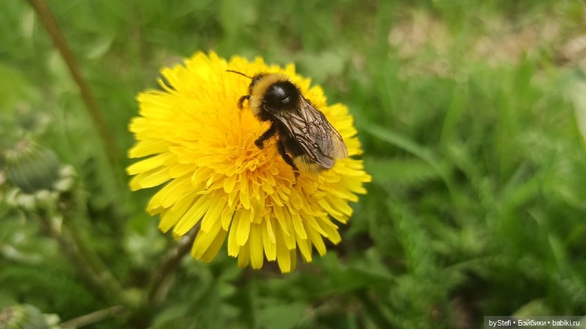 Выловили солнечный денёк)) 19.06.2021. Заполярье. Прогулка. Часть 4