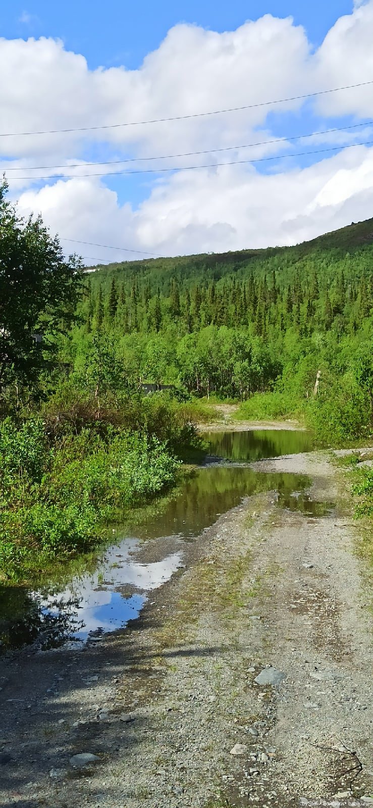 Выловили солнечный денёк 19.06.2021. Заполярье. Прогулка. Часть 3