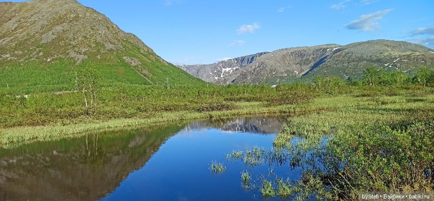 Выловили солнечный денёк 19.06.2021. Заполярье. Прогулка. Часть 5 (фото 2)