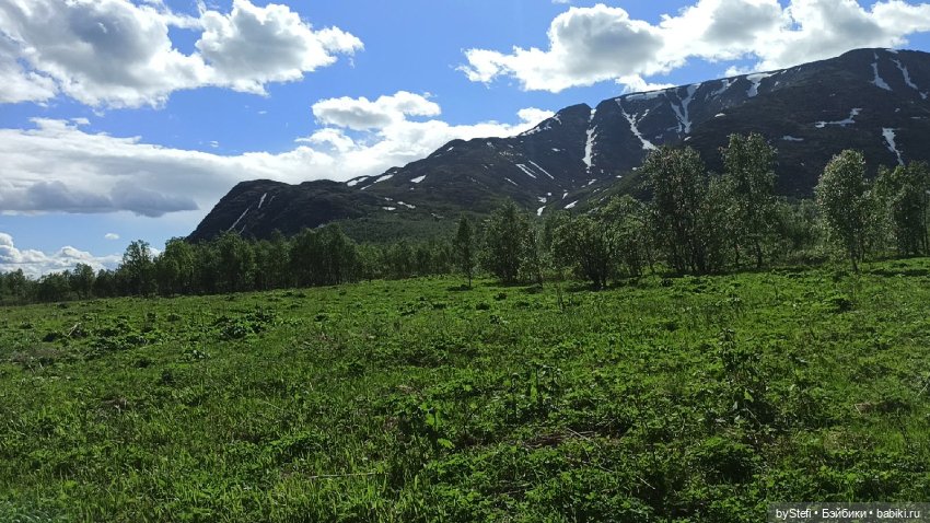 Выловили солнечный денёк 19.06.2021. Заполярье. Прогулка. Часть 3