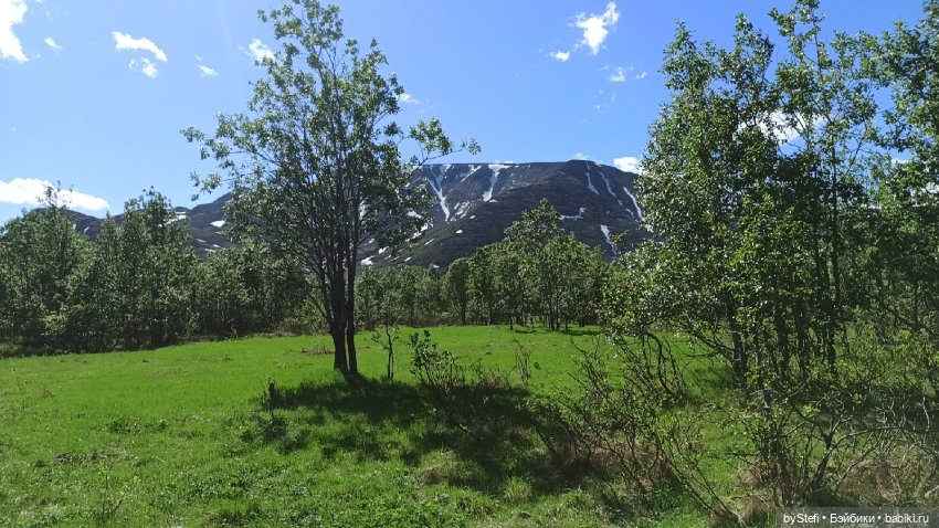 Выловили солнечный денёк 19.06.2021. Заполярье. Прогулка. Часть 2 (фото 4)