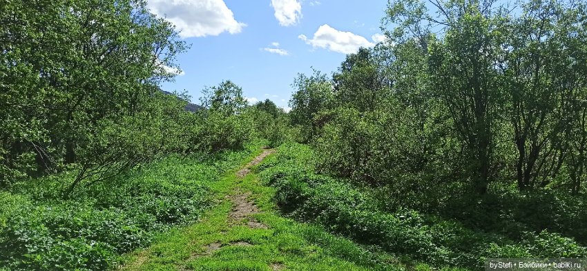 Выловили солнечный денёк 19.06.2021. Заполярье. Прогулка. Часть 1 (фото 6)