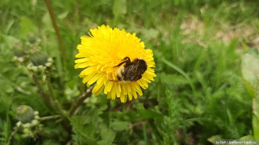 Выловили солнечный денёк)) 19.06.2021. Заполярье. Прогулка. Часть 4