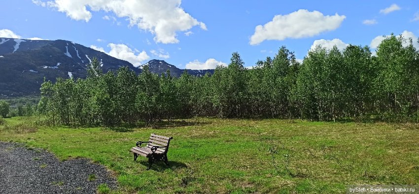 Выловили солнечный денёк 19.06.2021. Заполярье. Прогулка. Часть 2