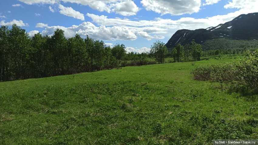 Выловили солнечный денёк 19.06.2021. Заполярье. Прогулка. Часть 2