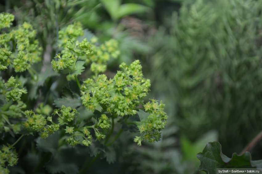 Выловили солнечный денёк 19.06.2021. Заполярье. Прогулка. Часть 6. Заключительная