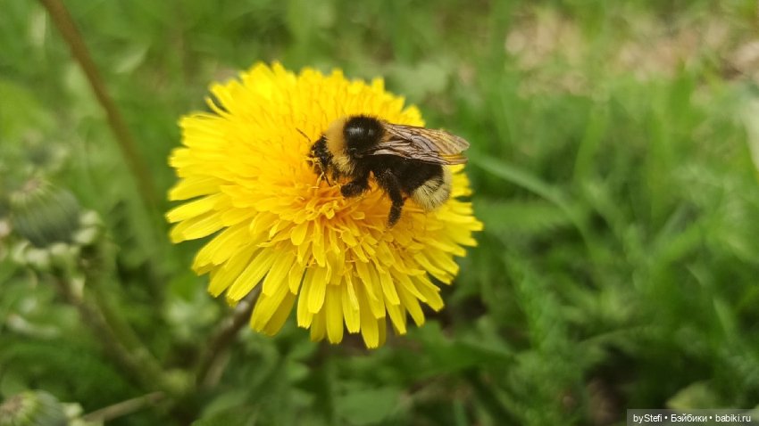 Выловили солнечный денёк)) 19.06.2021. Заполярье. Прогулка. Часть 4