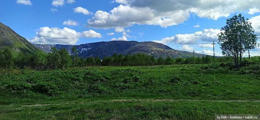 Выловили солнечный денёк 19.06.2021. Заполярье. Прогулка. Часть 3 (фото 5)