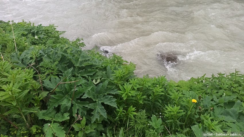 Выловили солнечный денёк)) 19.06.2021. Заполярье. Прогулка. Часть 4