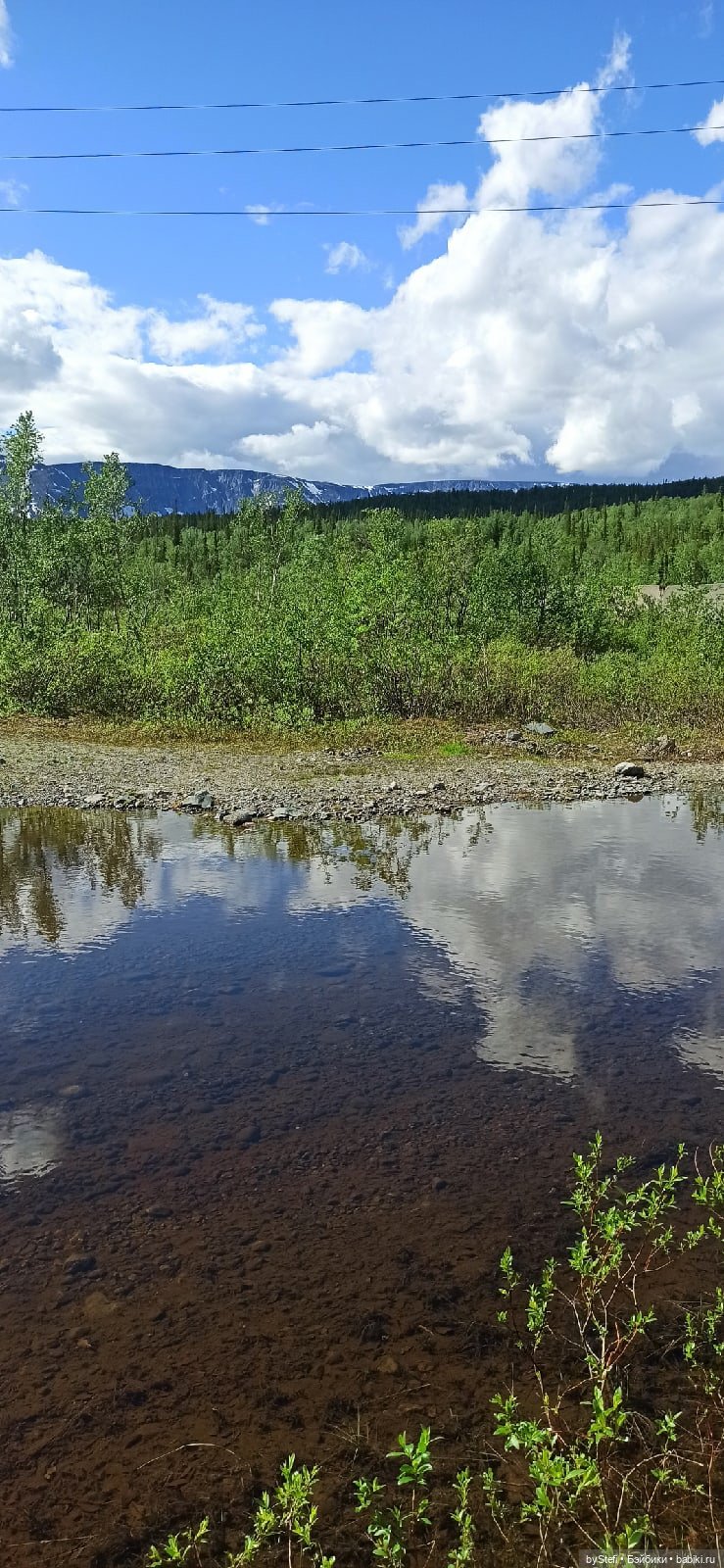 Выловили солнечный денёк 19.06.2021. Заполярье. Прогулка. Часть 3
