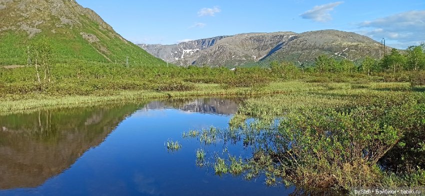 Выловили солнечный денёк 19.06.2021. Заполярье. Прогулка. Часть 5 (фото 4)