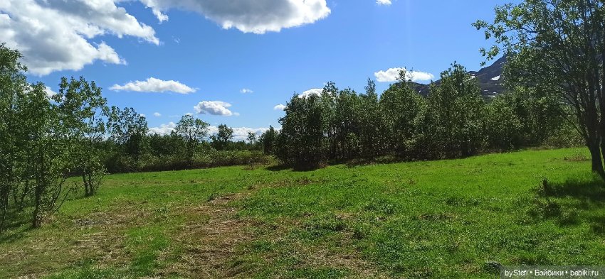 Выловили солнечный денёк 19.06.2021. Заполярье. Прогулка. Часть 2 (фото 3)