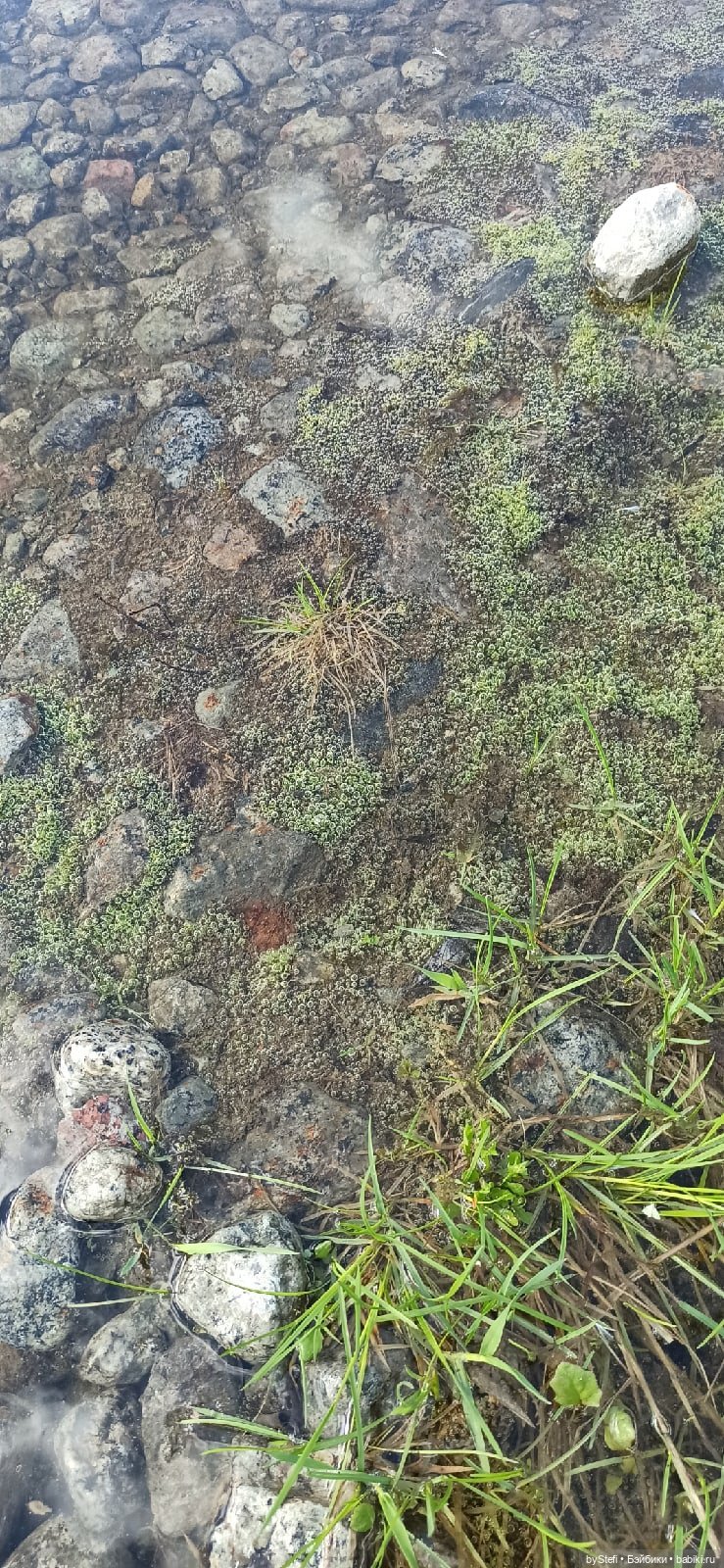 Выловили солнечный денёк 19.06.2021. Заполярье. Прогулка. Часть 3