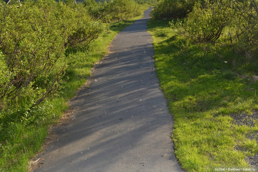 Выловили солнечный денёк 19.06.2021. Заполярье. Прогулка. Часть 5
