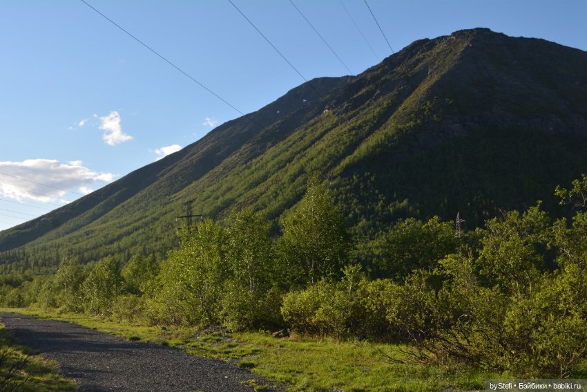 Выловили солнечный денёк 19.06.2021. Заполярье. Прогулка. Часть 5
