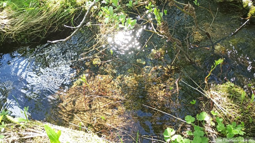 Выловили солнечный денёк 19.06.2021. Заполярье. Прогулка. Часть 2