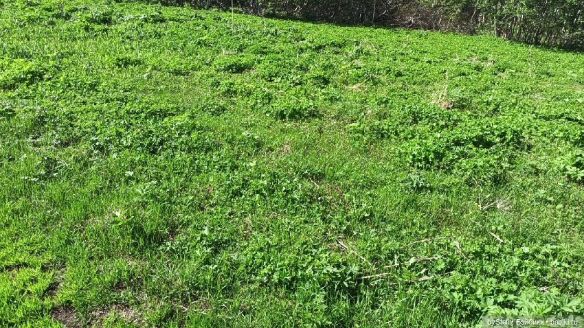 Выловили солнечный денёк 19.06.2021. Заполярье. Прогулка. Часть 3