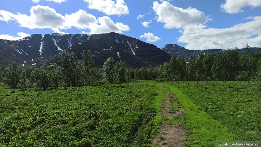 Выловили солнечный денёк 19.06.2021. Заполярье. Прогулка. Часть 3 (фото 10)