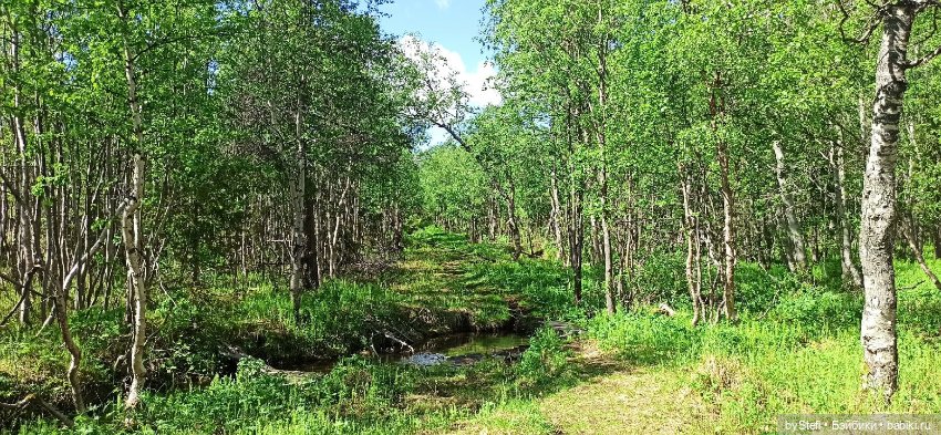 Выловили солнечный денёк 19.06.2021. Заполярье. Прогулка. Часть 2
