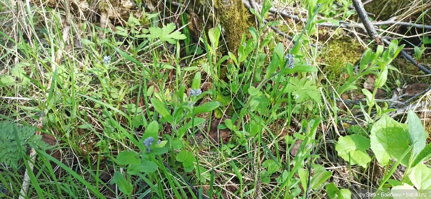 Выловили солнечный денёк 19.06.2021. Заполярье. Прогулка. Часть 2