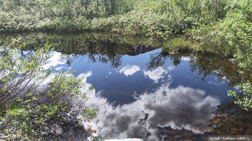 Выловили солнечный денёк 19.06.2021. Заполярье. Прогулка. Часть 3