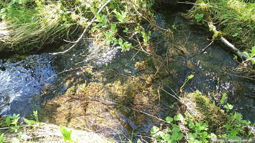 Выловили солнечный денёк 19.06.2021. Заполярье. Прогулка. Часть 2