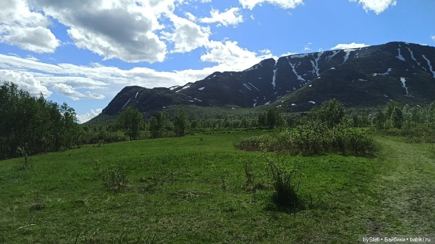 Выловили солнечный денёк 19.06.2021. Заполярье. Прогулка. Часть 2