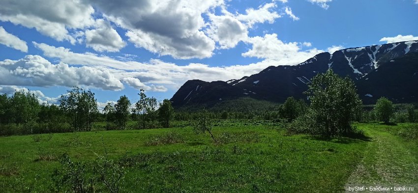 Выловили солнечный денёк 19.06.2021. Заполярье. Прогулка. Часть 2