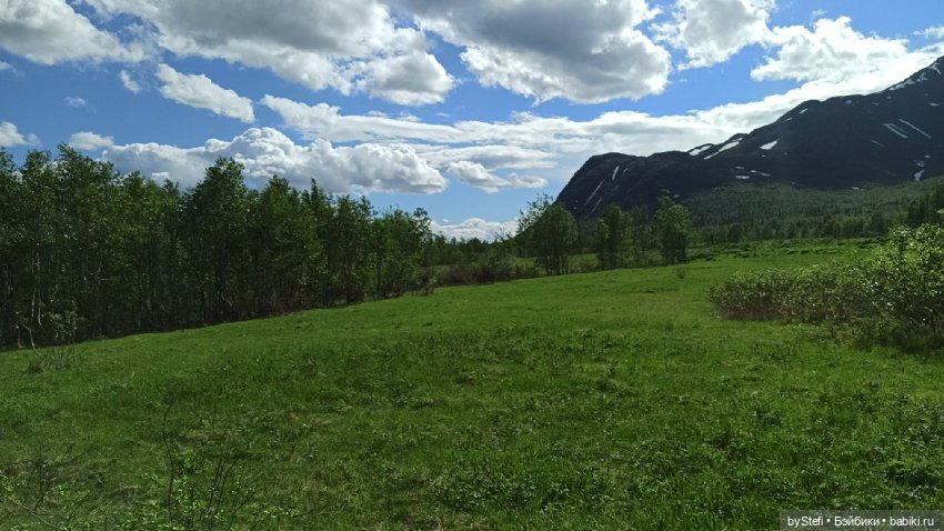Выловили солнечный денёк 19.06.2021. Заполярье. Прогулка. Часть 2