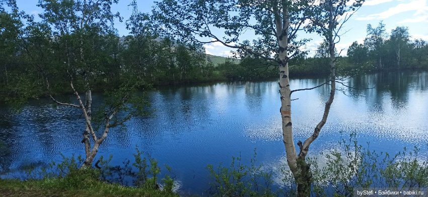 Выловили солнечный денёк 19.06.2021. Заполярье. Прогулка. Часть 3