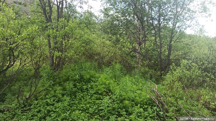 Выловили солнечный денёк)) 19.06.2021. Заполярье. Прогулка. Часть 4