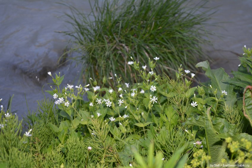 Выловили солнечный денёк 19.06.2021. Заполярье. Прогулка. Часть 6. Заключительная