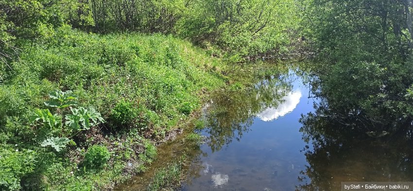 Выловили солнечный денёк 19.06.2021. Заполярье. Прогулка. Часть 1 (фото 4)
