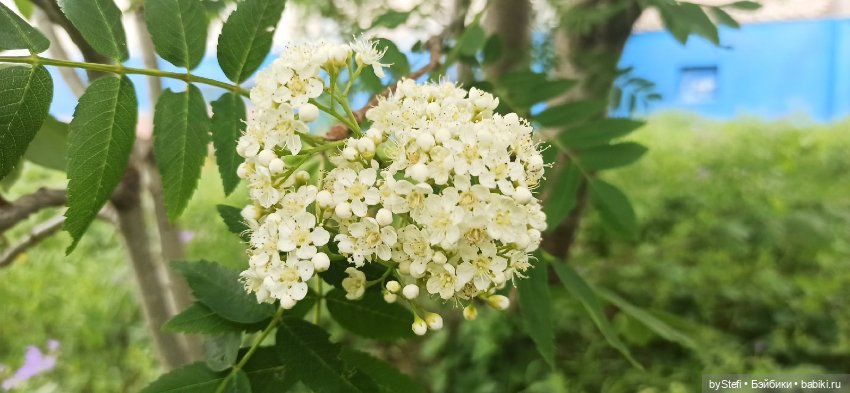 Выловили солнечный денёк)) 19.06.2021. Заполярье. Прогулка. Часть 4