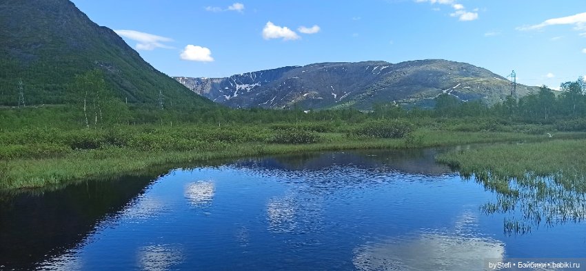 Выловили солнечный денёк)) 19.06.2021. Заполярье. Прогулка. Часть 4 (фото 6)