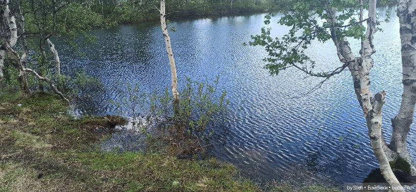 Выловили солнечный денёк 19.06.2021. Заполярье. Прогулка. Часть 3