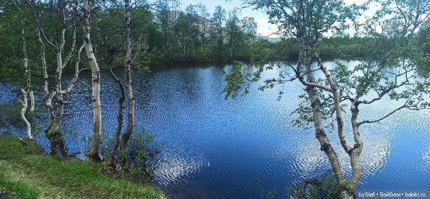 Выловили солнечный денёк 19.06.2021. Заполярье. Прогулка. Часть 3